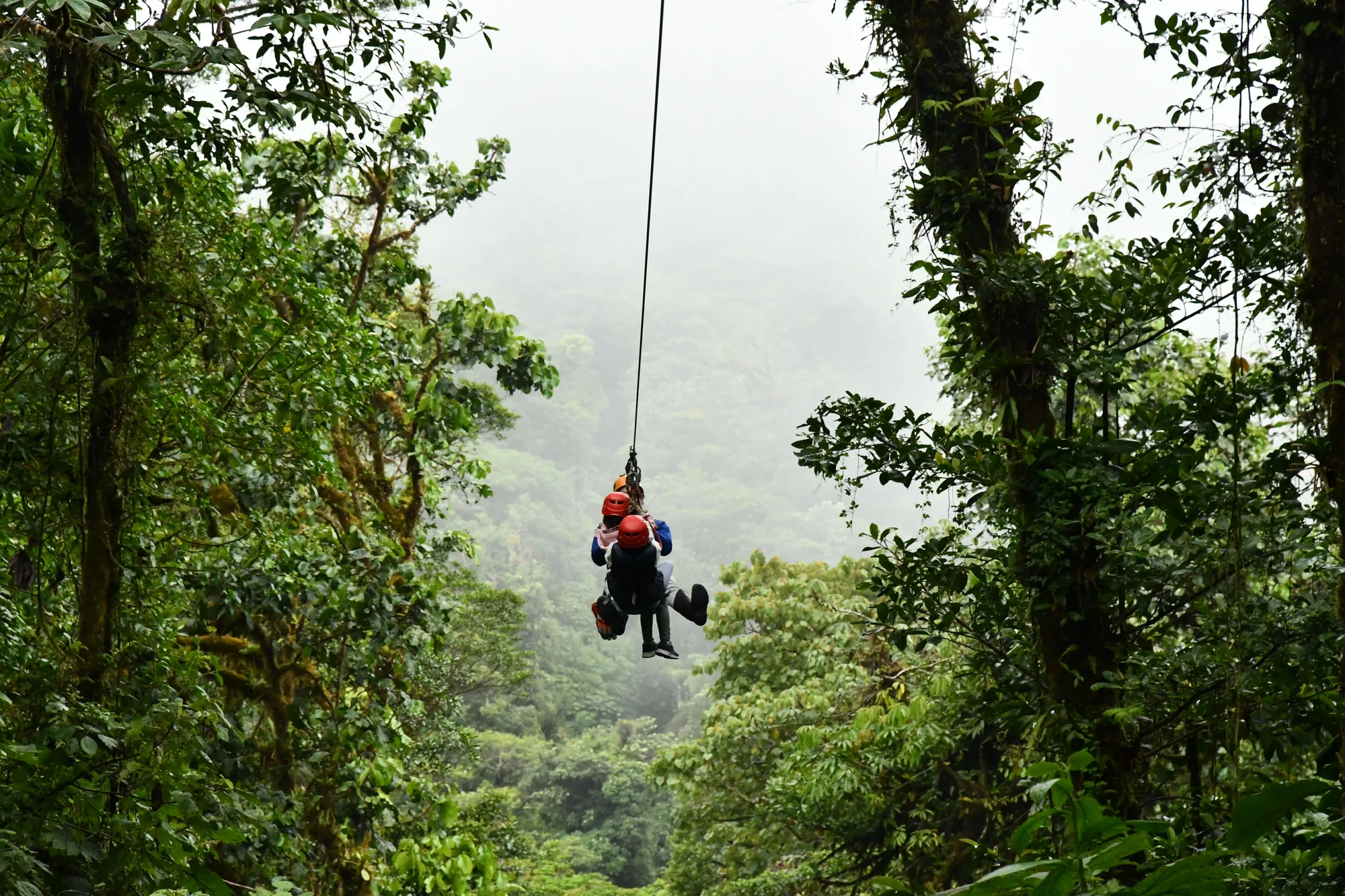 Two riders zipline above a lush Costa Rican forest.