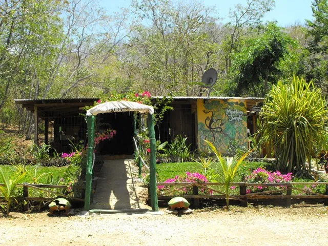 The forest-side entrance at Canopy Monkey Jungle.